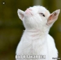 Как будто в провинции люди не живут. Блохер, небожитель выбрался на периферию.
