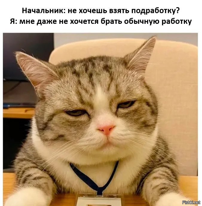 Солянка от 10.11.2025