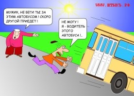 Собака там выглядит самой умной