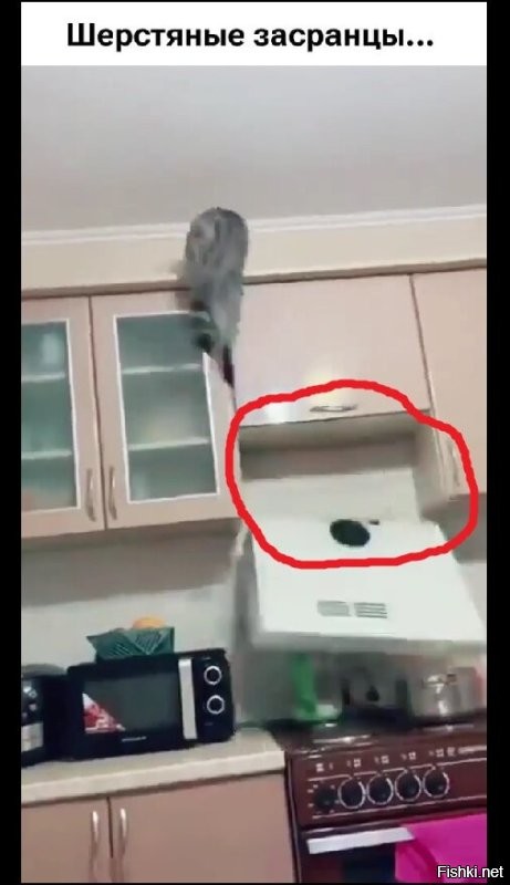 Тому, кто ставил вытяжку, надо бы руки отрубить и в жопу затолкать.
Мало того что висела "на соплях". А куда она вытягивала?!