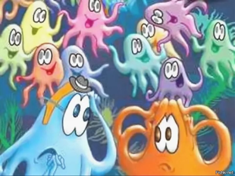 Солянка от 10.11.2025