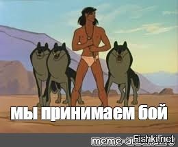 5 фактов, которые меняют представление о львах