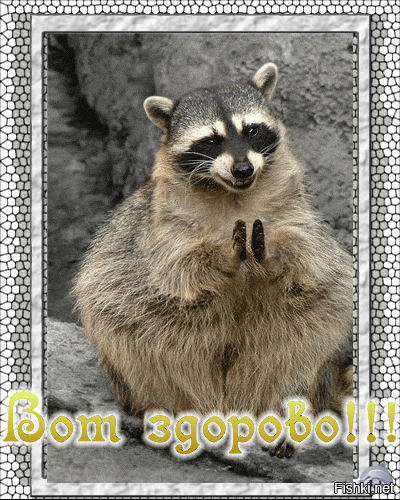 Молодцы, сообразили!