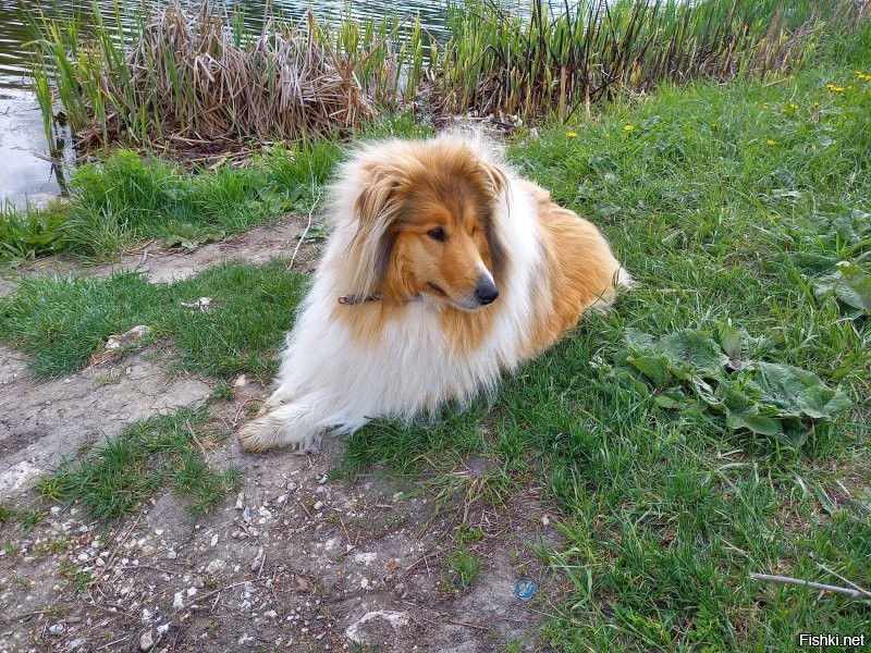 Выход есть!