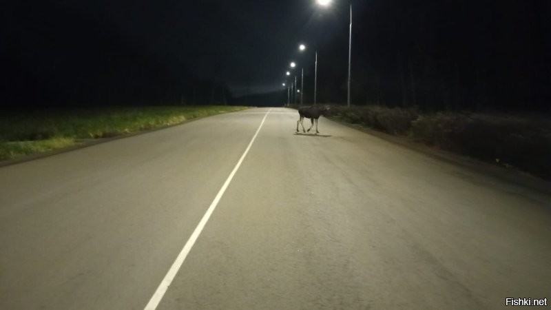 Да, откуда-то идет по делам. И не здоровается...