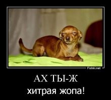 Минимум усилий — максимум контроля