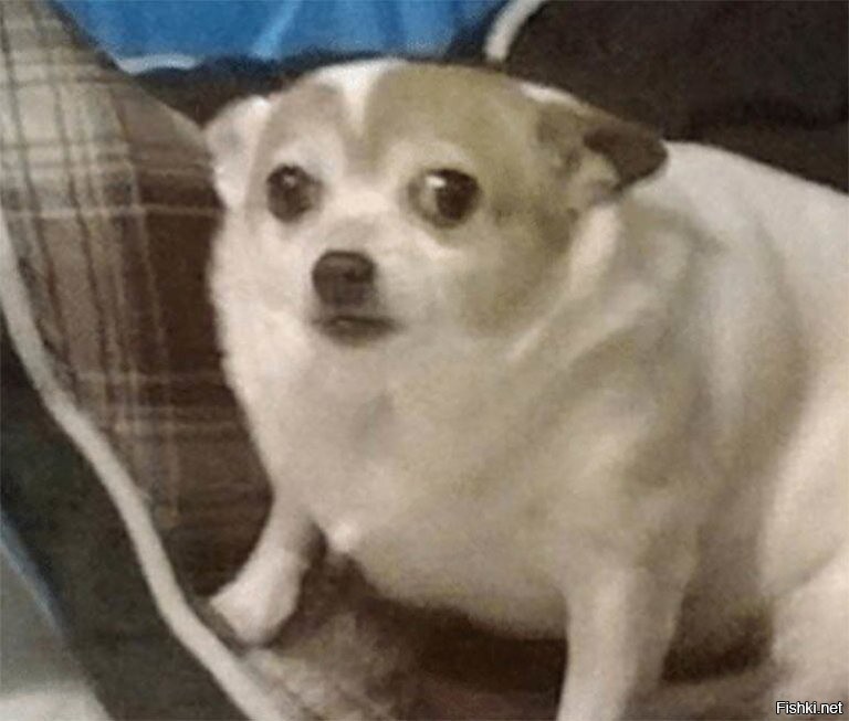 я в такую погоду вообще из дому не выхожу.