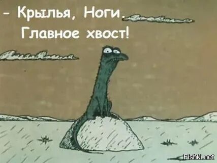 Хвост важней крыльев, я с детства помню