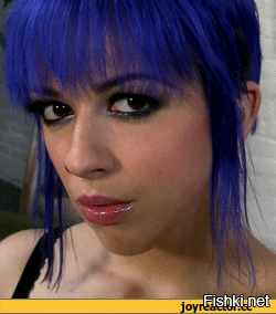 Солянка от 11.11.2025