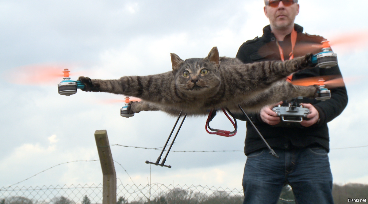 Мурка, что же с тобой стало?!