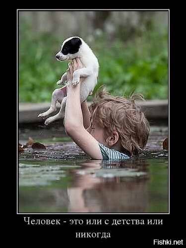 Герой на льду: мужчина вытащил собаку из воды в Тюмени