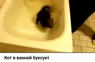 Примерно так:
