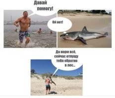 У динго фамилия не Кличко?