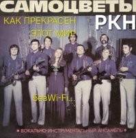 Роскомнадзор рассказал, как прекрасна жизнь без Wi-Fi, и нарвался на поток критики