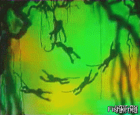 В Дагестане устроили давку из-за бесплатных ковров