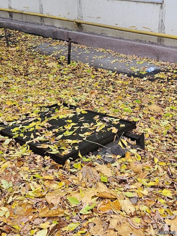 У нас вот. Между двумя домами пространство с детской площадкой, вдоль стены дома напротив несколько каких-то непонятных люков, на отвали прикрытых фанеркой. Из одного такого некто сделал себе погреб: однажды увидела, как из него вылезает мужик с пакетом картошки. У этого люка у единственного крышка посолиднее и закрыта на висячий замок. Видимо, этакий самозахват: бетонное кольцо уже вкопано, чего не воспользоваться, лесенку опустил, замок повесил и пользуется.