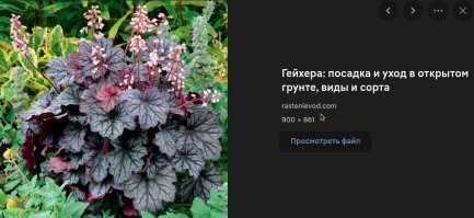 Меткие русские ругательства, которые могут заменить мат и обогатить словарный запас