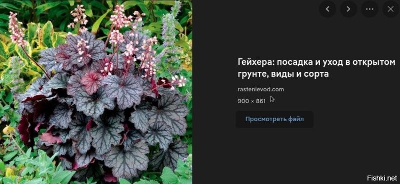 Меткие русские ругательства, которые могут заменить мат и обогатить словарный запас