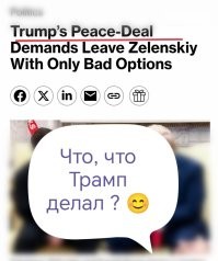 Кормические отношения и душиншилла: каламбуры и лингвошутки