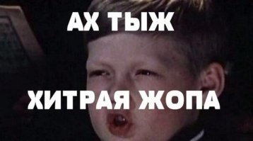 В Австралии показали, как кафе борются с воришками чайками