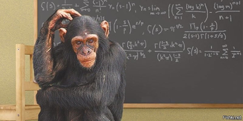 Машинист поезда уснула во время движения  состава