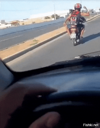 Просто гифки, всякие и&nbsp;разные