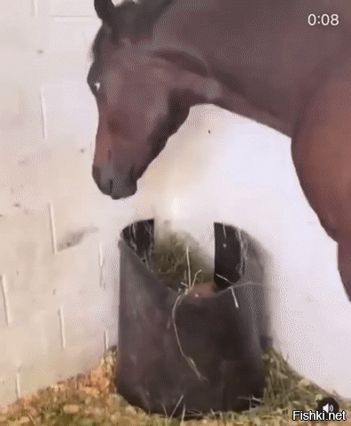 Просто гифки, всякие и&nbsp;разные