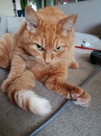 Кузьма поддерживает