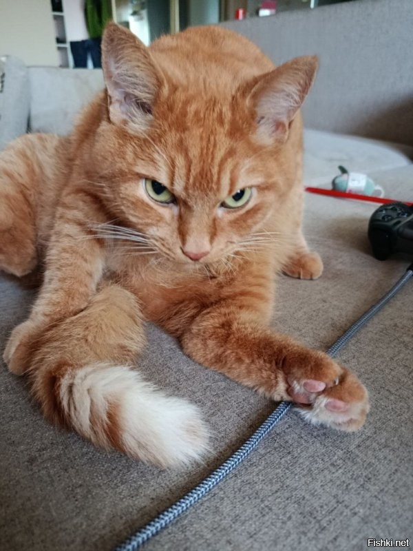 Кузьма поддерживает