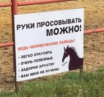 Колесо знаний – революционный механизм Агостино Рамелли