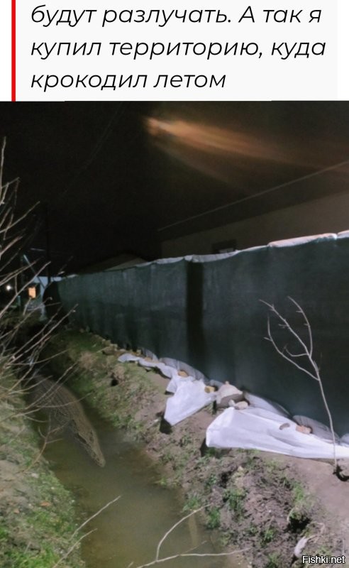 Прокуратура проверит калужскую телекомпанию, в редакции которой содержится крокодил