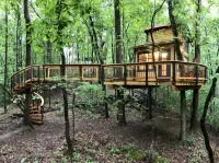 когда одно это дерево а когда много это деревья