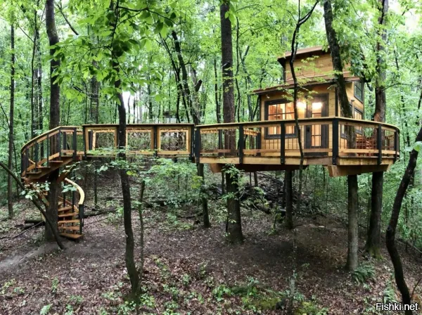 когда одно это дерево а когда много это деревья