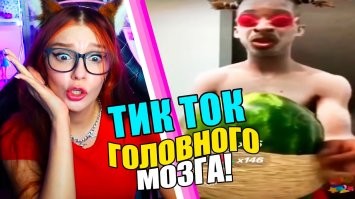 Принял за чужака: кот не узнал хозяйку