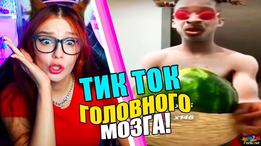 Принял за чужака: кот не узнал хозяйку