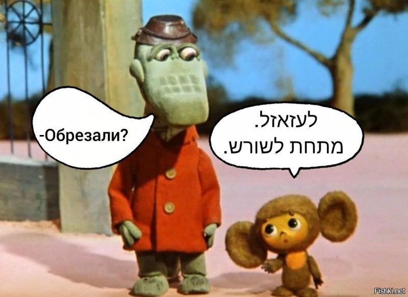 «Я в шоке от нашей Думы»: бывшая жена Успенского назвала бредом предположение депутата о национальности Чебурашки