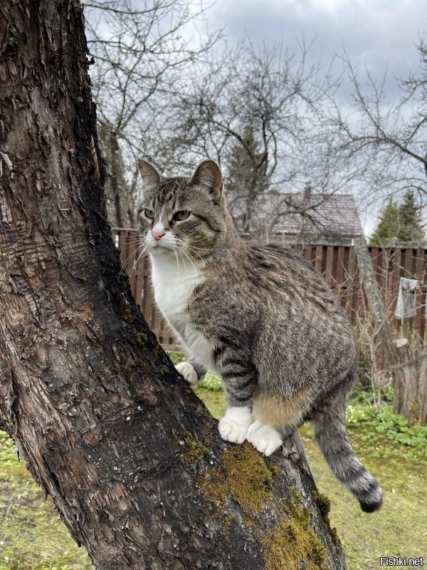 Солянка от 13.11.2025