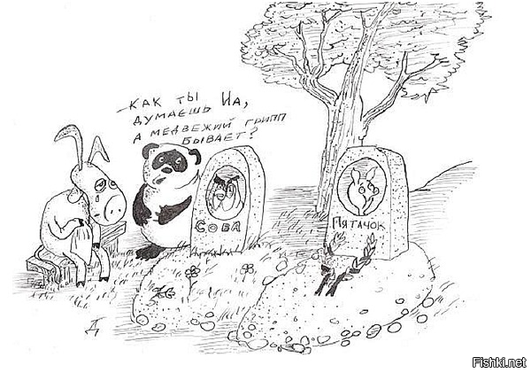 Солянка от 13.11.2025