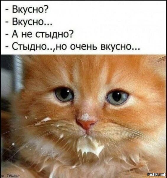 Хитрые пушистые воришки