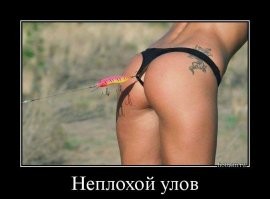 Смешные картинки