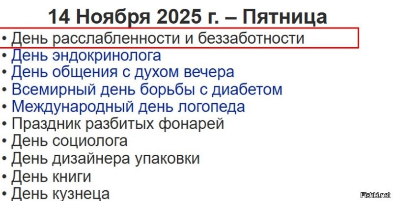 Солянка от 14.11.2025