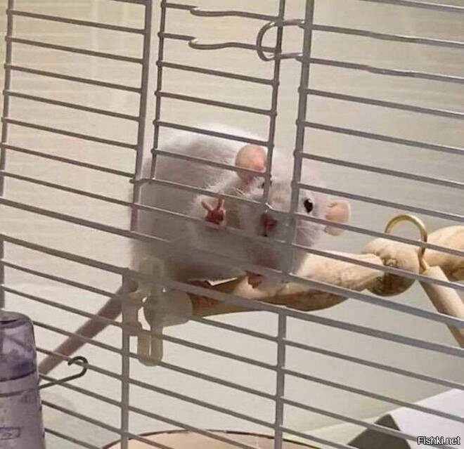 С добрым утром