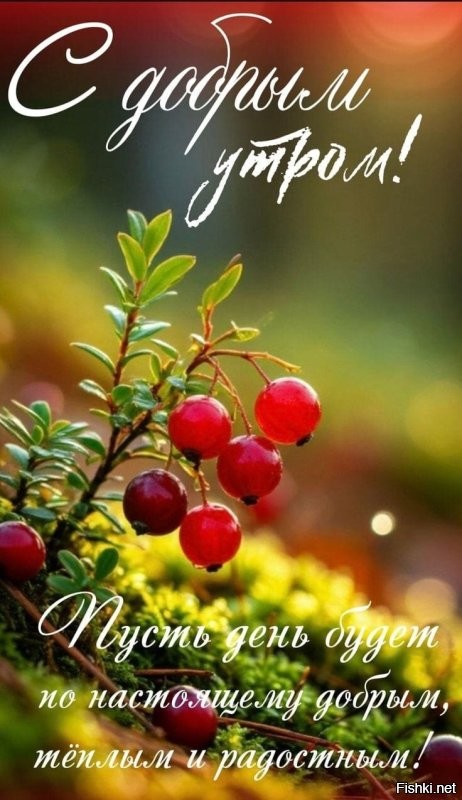 С добрым утром