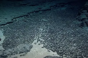 Железомарганцевые конкреции  формируются и на дне океана. 
На дне Мирового океана  их запасы составляют не менее 300 млрд т.
В состав конкреций входят Mn (22,3 - 23,5 %), Fe (4,5 - 5,6 %), Co (0,19 - 0,22 %), Ni (1,24 - 1,54 %), Cu (1 - 1,17 %), Zn (0,113 - 0,117 %). Часто присутствуют и другие примеси.