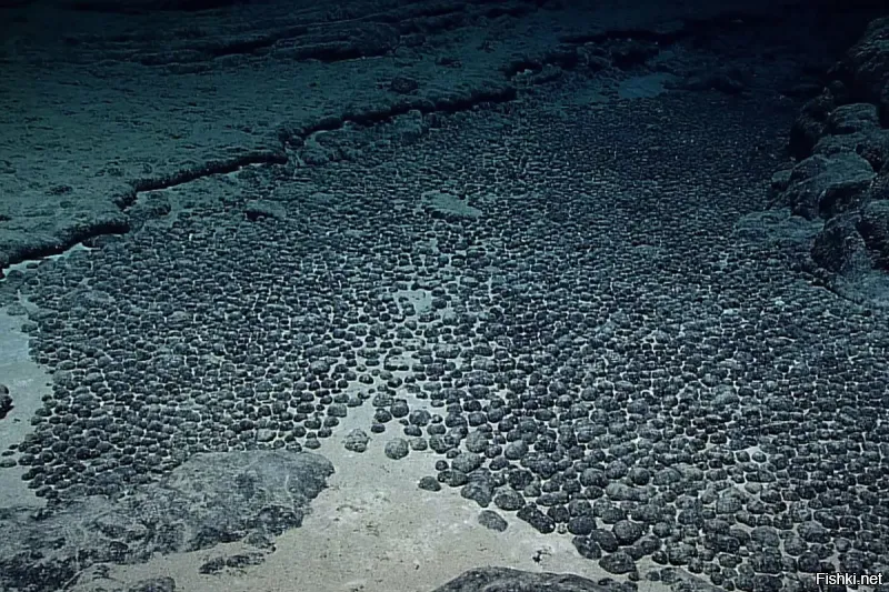 Железомарганцевые конкреции  формируются и на дне океана. 
На дне Мирового океана  их запасы составляют не менее 300 млрд т.
В состав конкреций входят Mn (22,3 - 23,5 %), Fe (4,5 - 5,6 %), Co (0,19 - 0,22 %), Ni (1,24 - 1,54 %), Cu (1 - 1,17 %), Zn (0,113 - 0,117 %). Часто присутствуют и другие примеси.