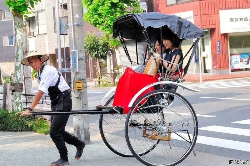 А кому-то не повезло вдвойне.