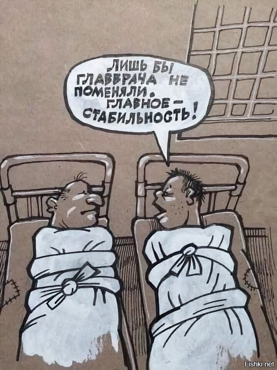 Солянка от 14.11.2025