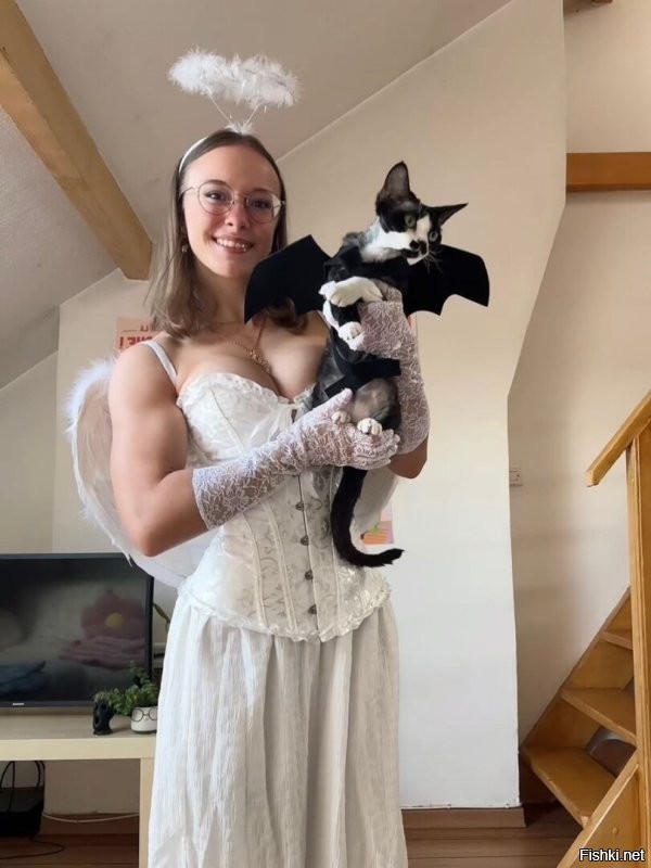 Солянка от 14.11.2025