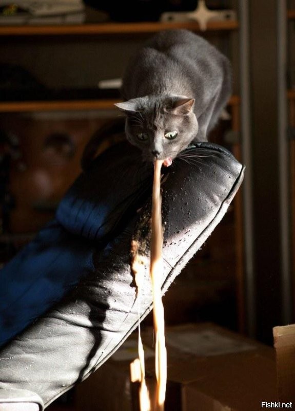 "Как теперь подавать ему руку?": Дмитрия Диброва заподозрили в участии в скандальной секс-вечеринке