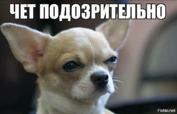 А как ты это всё будешь читать, когда в Казахстане перейдут на латиницу? 

Или у вас эта идея заглохла?